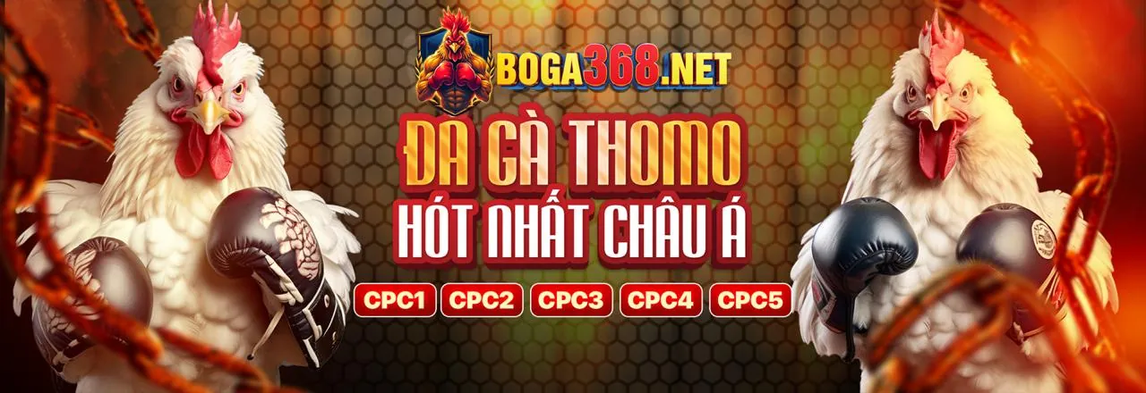 Các biện pháp bảo mật dữ liệu mạnh mẽ của 77 ball bet